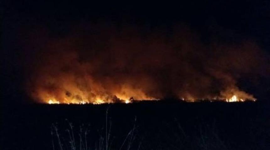 Terme'de 15 Bin Metrekare Sazlık Alan Yandı