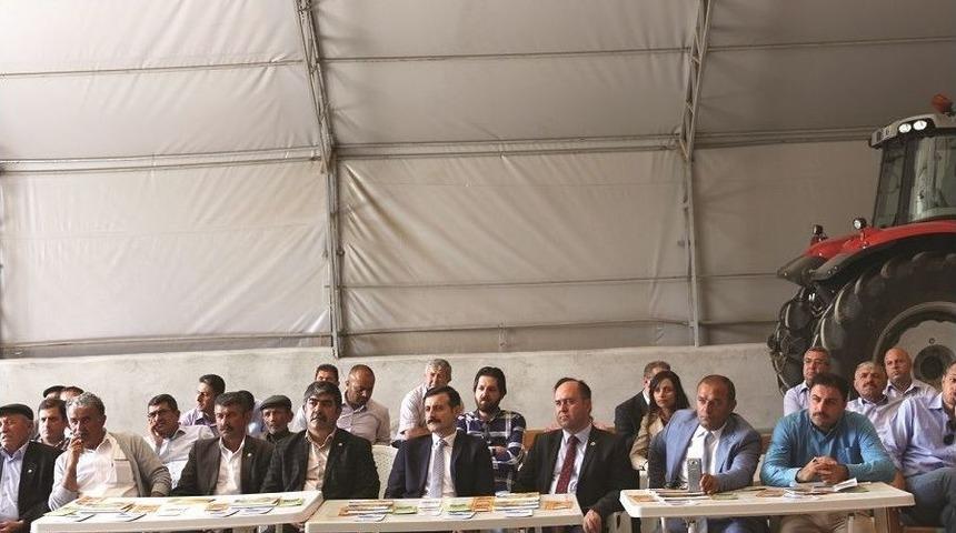 Sungurlu&rsquo;da Tarla G&uuml;n&uuml; Yapıldı