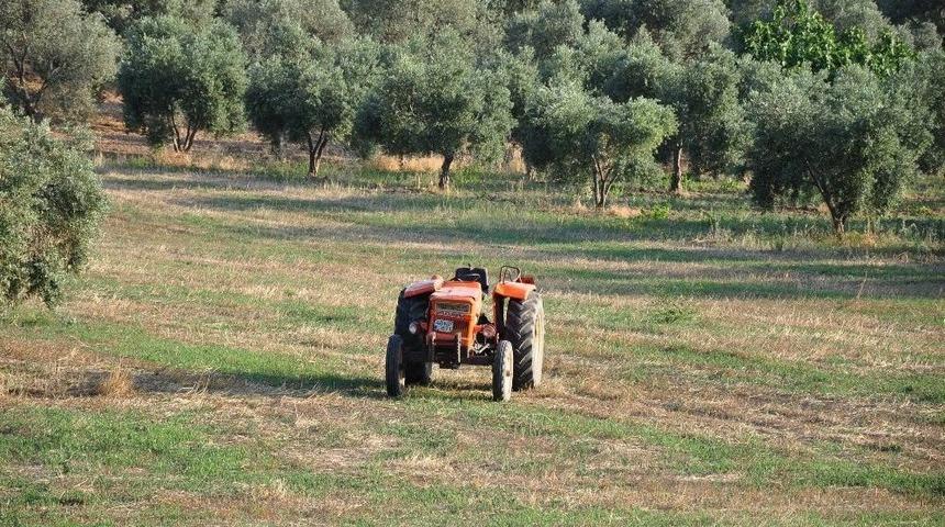 Milas&rsquo;ta Trakt&ouml;r Kazası: 1 &Ouml;l&uuml;