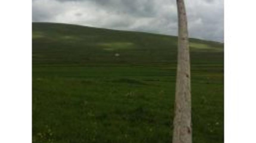 &Ccedil;ıldır&rsquo;da Fırtına Elektrik Direklerini Yıktı