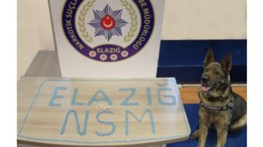 Ayakkabıda Kokain, Kutusunda Ecstasy Ele Ge&ccedil;irildi