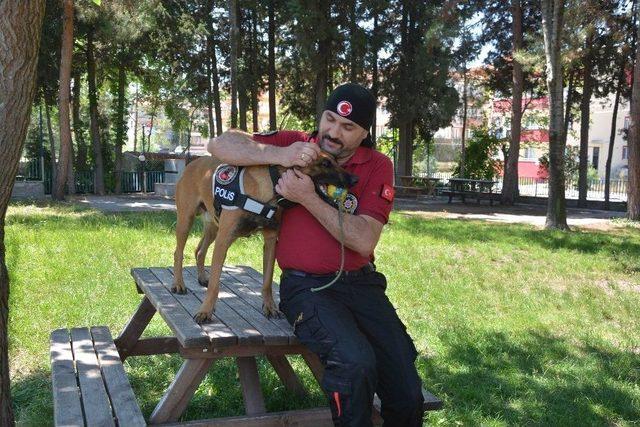 (özel Haber) Narkotik Köpeği Galia, Binlerce Genci Zehirlenmekten Kurtardı