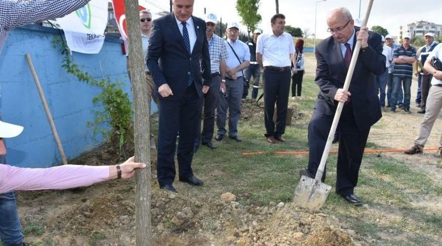 Tekirdağ&rsquo;da Ağa&ccedil;landırma Etkinliği