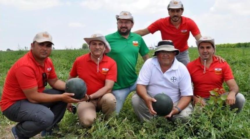 &Ccedil;ekirdeksiz Karpuza Rağbet Arttı