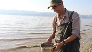 Burdur Gölü'nde Alg Patlaması