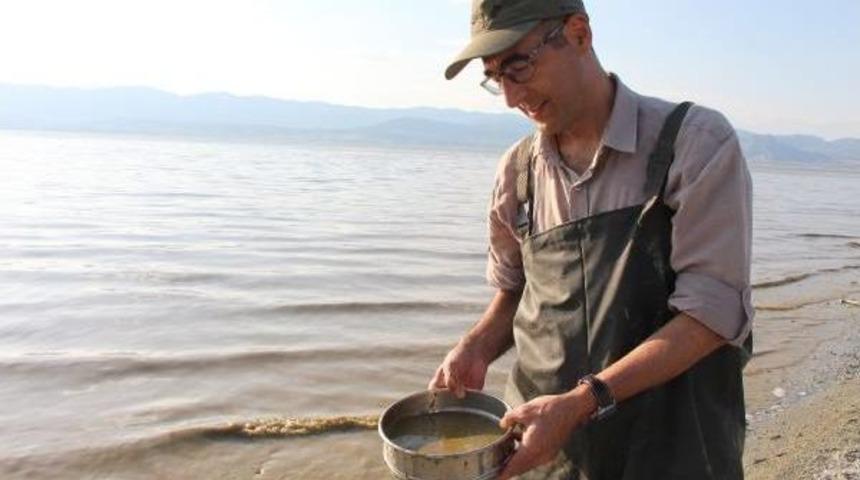 Burdur Gölü'nde Alg Patlaması