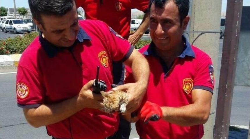 Beton Elektrik Direğinde Mahsur Kalan Yavru Kedi Kurtarıldı
