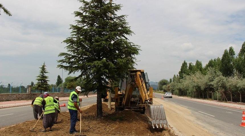 Seydişehir&rsquo;de Damlama Sulama Hattı Yenileme Ve &Ccedil;imlendirme &Ccedil;alışması
