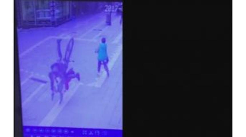 Bir Anda Tepetaklak Oldular