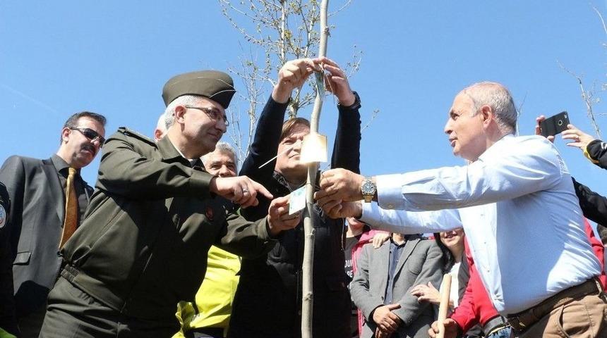 B&uuml;y&uuml;k&ccedil;ekmece&rsquo;ye Bereket Ve Barışın Simgesi Zeytin Ağa&ccedil;ları Dikilecek