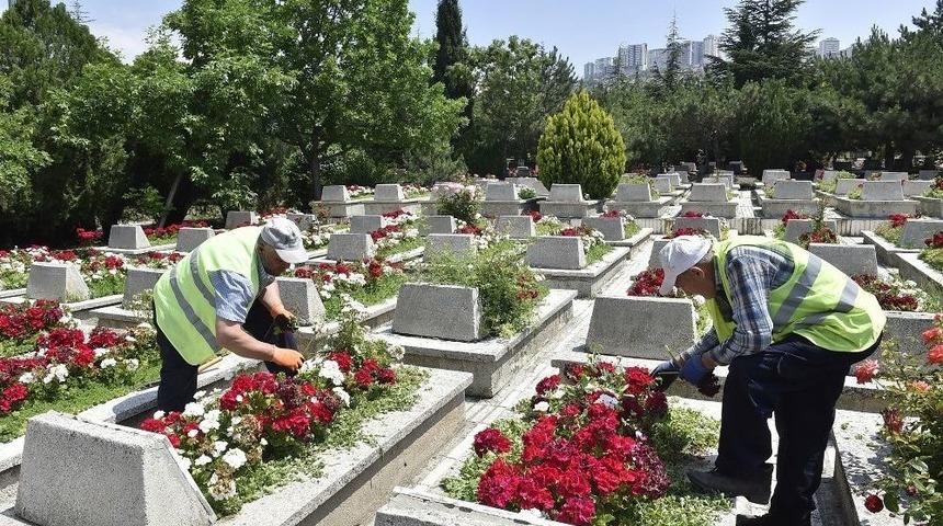 B&uuml;y&uuml;kşehir&rsquo;in Kurban Bayramı Hazırlıkları Tamam