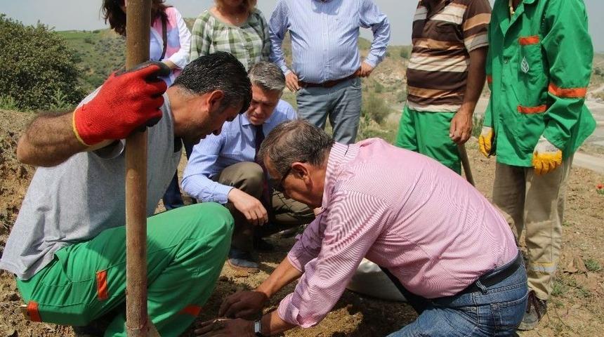 &Ccedil;ankaya&rsquo;da "enerji Ormanı" İ&ccedil;in İlk Tohumlar Atıldı