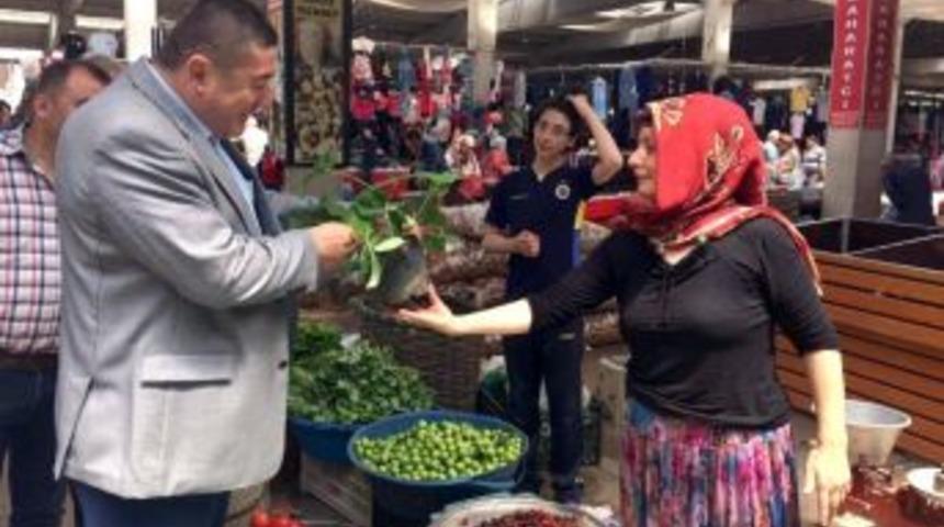 Alaplı İl&ccedil;e Merkezine &Ccedil;ok Ama&ccedil;lı Hizmet Alanı Yapılacak