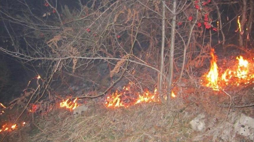 Orman Yangını Uyarısı