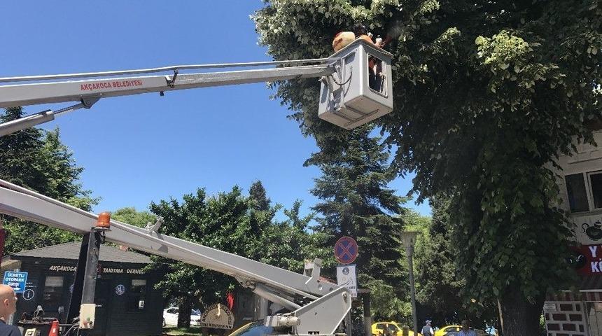 Ak&ccedil;akoca Belediyesi Haşarat İle M&uuml;cadelesini S&uuml;rd&uuml;r&uuml;yor