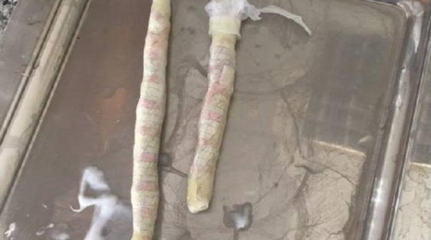 Şampuan Kutusundan Bonzai &Ccedil;ıktı