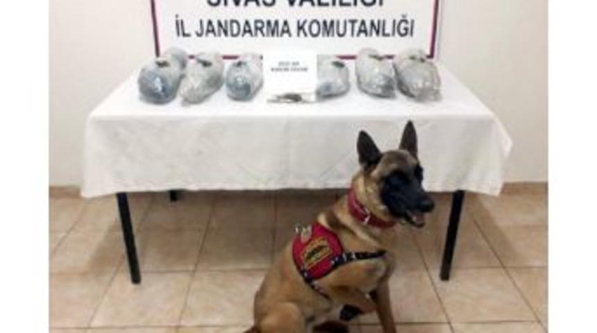 Otob&uuml;ste 5 Kilo Esrar Ele Ge&ccedil;irildi