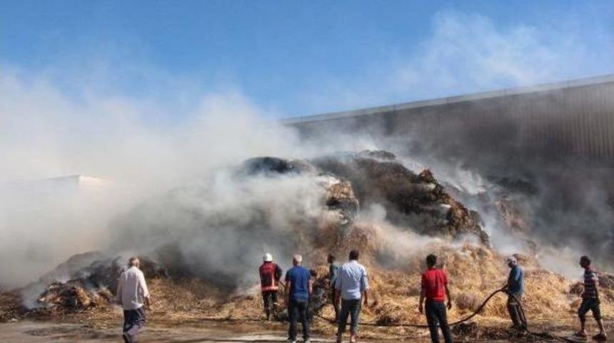 Şanlıurfa'da Tonlarca Balya Saman Yandı