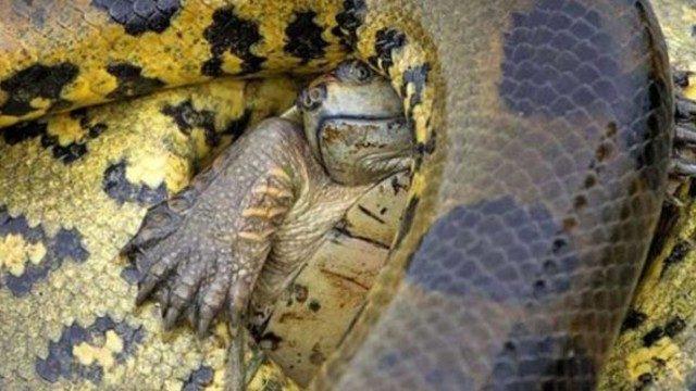 Ölüme saniye saniye direniş