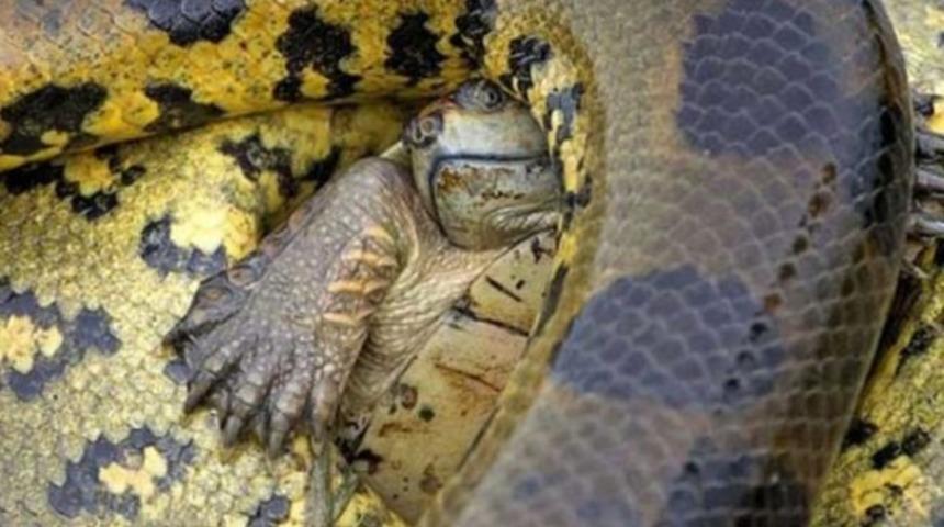 &Ouml;l&uuml;me saniye saniye direniş