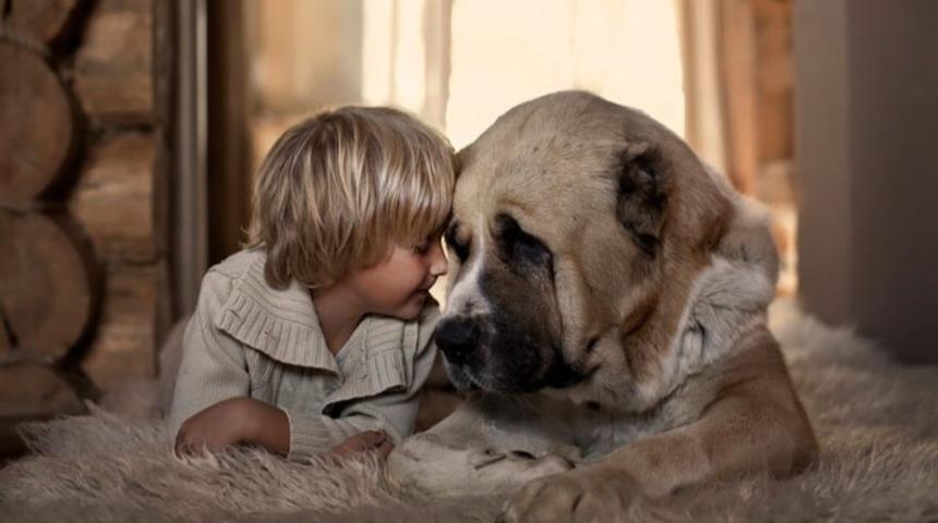Çocuklar ile hayvanlar arasındaki muhteşem sevgiyi anlatan 20 görsel
