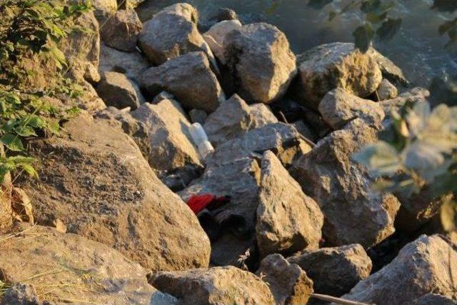 Serinlemek Için Sakarya Nehri'ne Giren Suriyeli Kayboldu