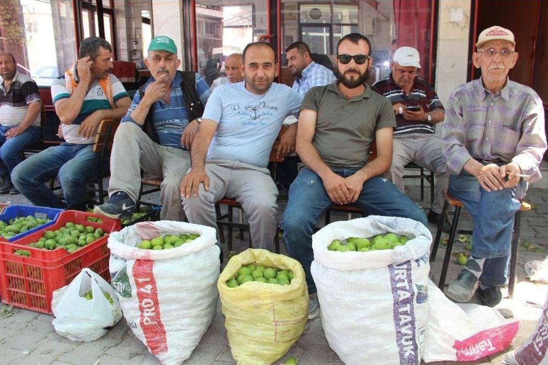 Germencik İlek Pazarı Hareketli G&uuml;nler Yaşıyor