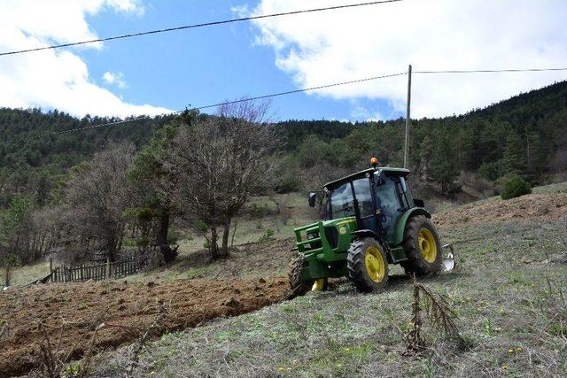 Kuşlar Aç Kalmasın Diye 6 Yıldır Tarlaya Buğday Ekiyor