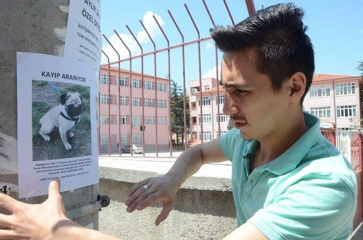 (özel Haber) Her Yerde Can Dostu Rıfkı’yı Arıyor G2