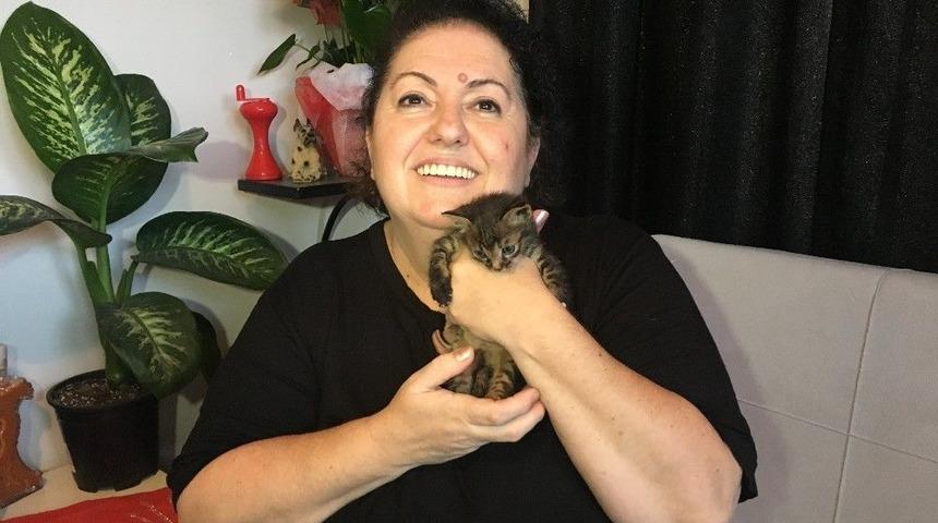 (&ouml;zel Haber) K&ouml;pek Yavru Kediyi Emzirdi, Annelik Yaptı