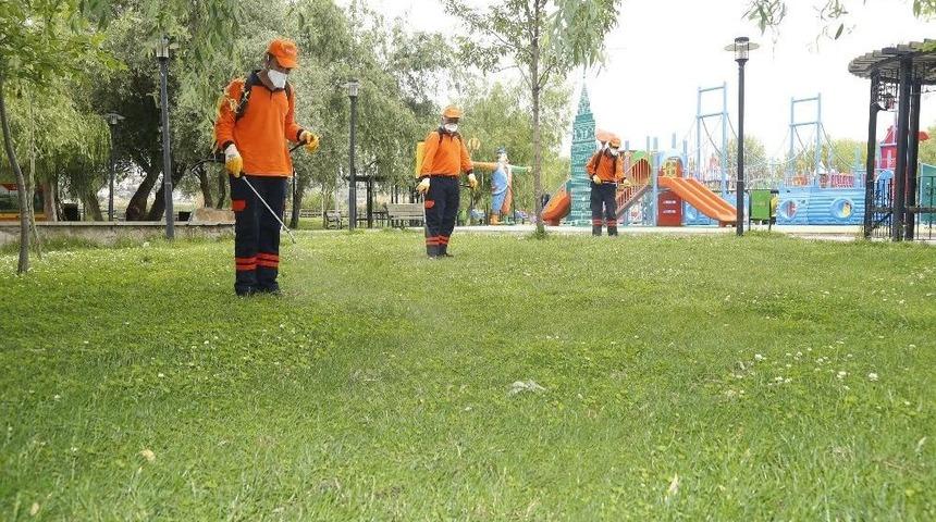 G&ouml;lbaşı&rsquo;nda Sinekle M&uuml;cadele &Ccedil;alışmaları S&uuml;r&uuml;yor