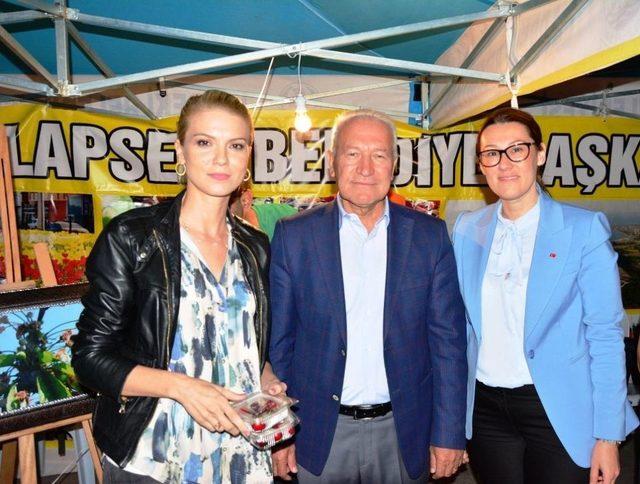 Lapseki Kirazı &Ccedil;anakkale&rsquo;de Tanıtıldı 2