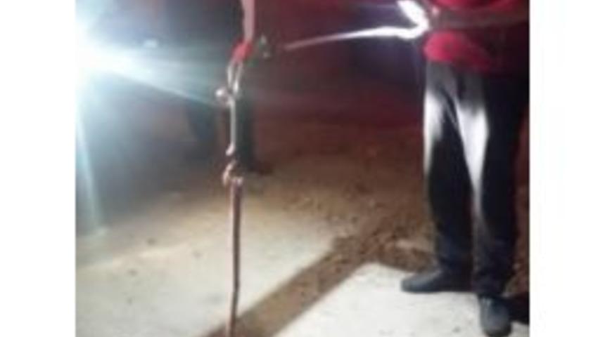 Eve Giren Yılan İtfaiye Tarafından Yakalandı