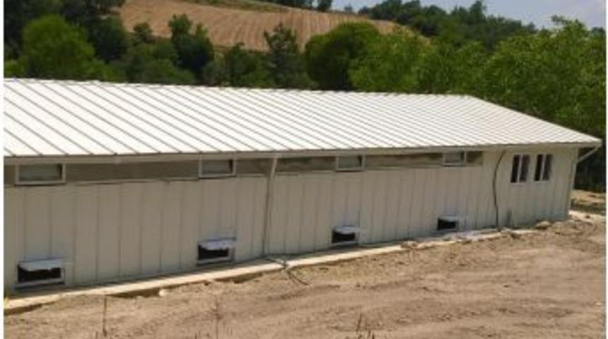 Buldan İl&ccedil;esinde Organik Yumurta &Uuml;retilecek