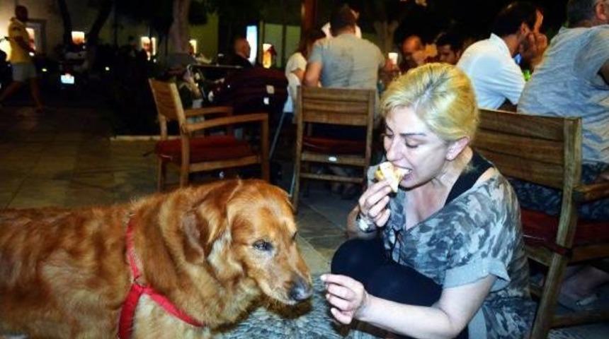 Muazzez Ersoy K&ouml;peğine De Pizza Yedirdi