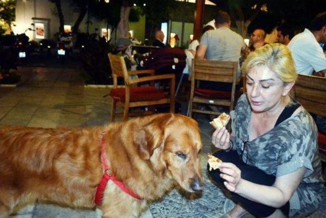 Muazzez Ersoy Köpeğine De Pizza Yedirdi