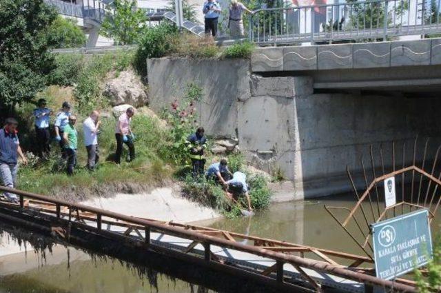 Eskişehir'de Sulama Kanalında Elleri Bağlı Erkek Cesedi Bulundu