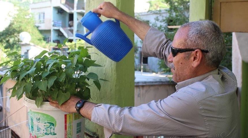 Gazi Babanın, Babalık Mücadelesi