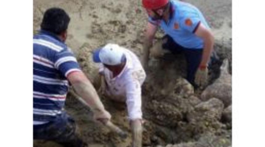 Hayvanlarını Kurtarmak İsterken Kendisi De &Ccedil;amura Battı