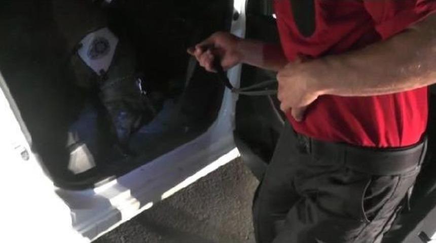 &lsquo;Alfa&rsquo; Otomobile Gizlenen Uyuşturucuyu Buldu