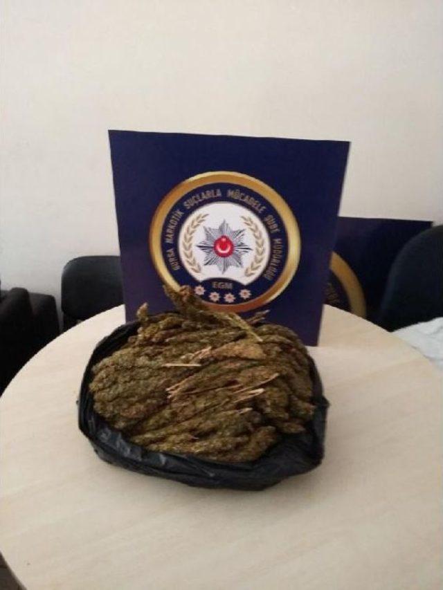 ‘Alfa’ Otomobile Gizlenen Uyuşturucuyu Buldu 1