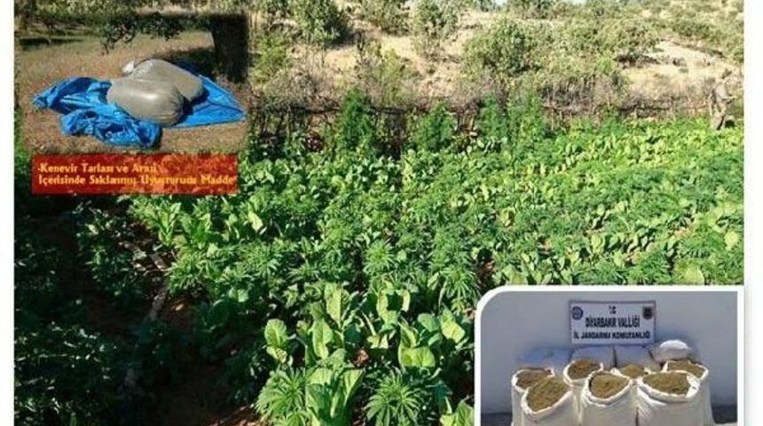 Diyarbakır Valiliği: Bombalı Ara&ccedil; Eylemlerinde Kullanılacağı Değerlendirilen Ara&ccedil; Ele Ge&ccedil;irildi