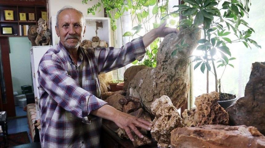 (&ouml;zel Haber) Taş Koleksiyonu Evinden Taştı
