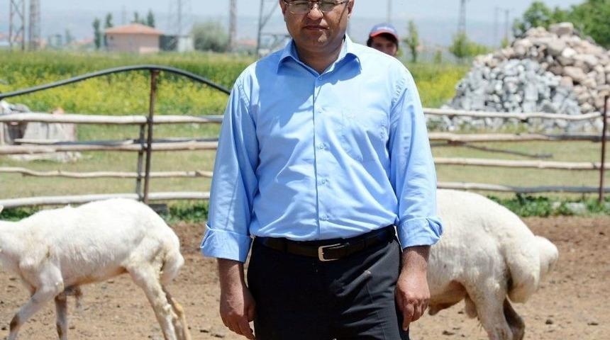 4 Bin Lira Maaşla &Ccedil;oban Bulunamıyor