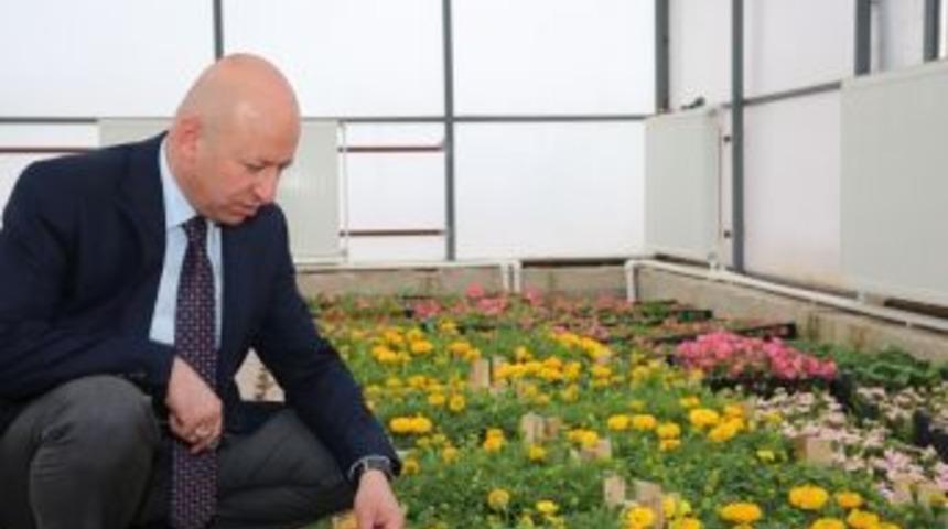 &Ccedil;olakbayrakdar, "gelecek Nesillere Yemyeşil Bir Kocasinan Bırakacağız"