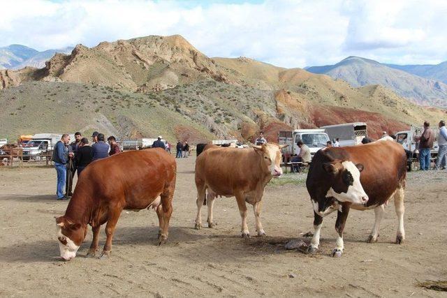 Pazarda Hayvan Var, Alıcı Yok