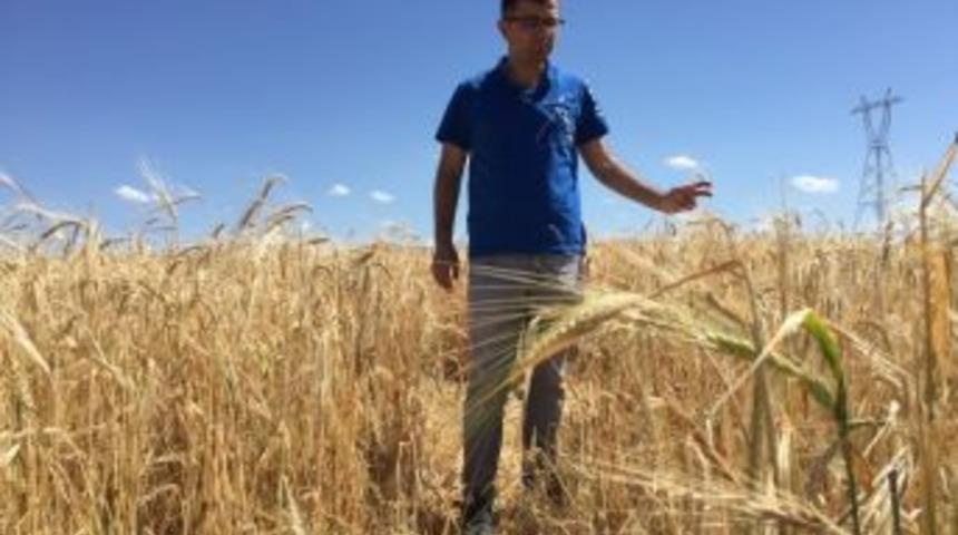 Anız Yangınları Uyarısı