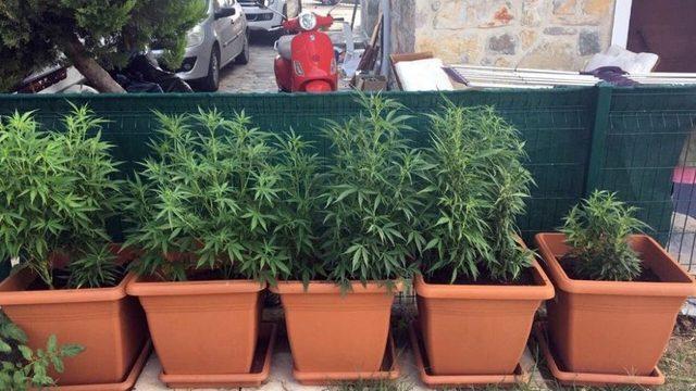 Sosyeteye Uyuşturucu Satan M&uuml;hendis Ve &Ouml;ğretmen Yakalandı 1