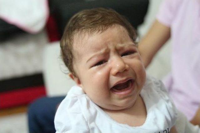 Sma Hastası Rosida Bebek Devletten Yardım Bekliyor 1