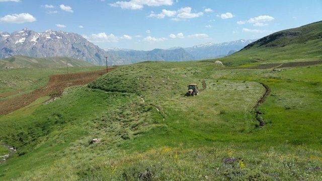 Karaca Yaylasında Ekim Başladı